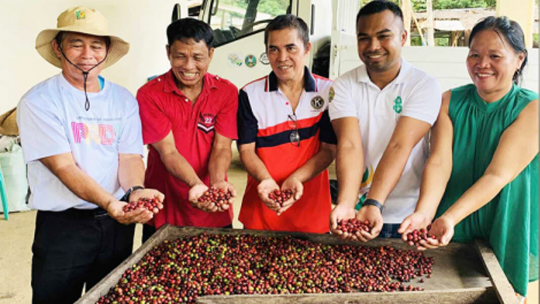20241111 PAGEONE - Coffee farmers