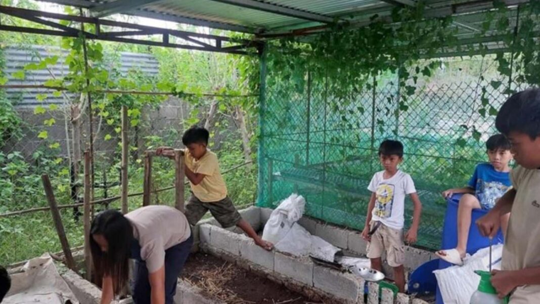 20241117 PAGEONE - School garden