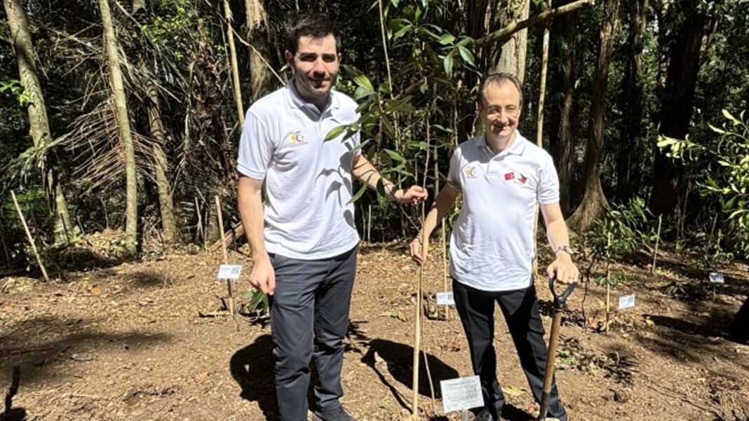 20241119 PAGEONE - PH Türkiye