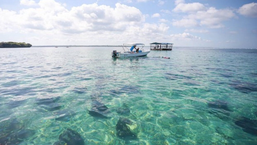 20241126 PAGEONE - Beach