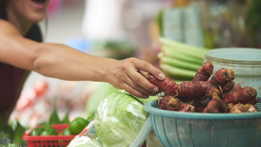 20241127 GVG 2 Grocery Shopping FI 1