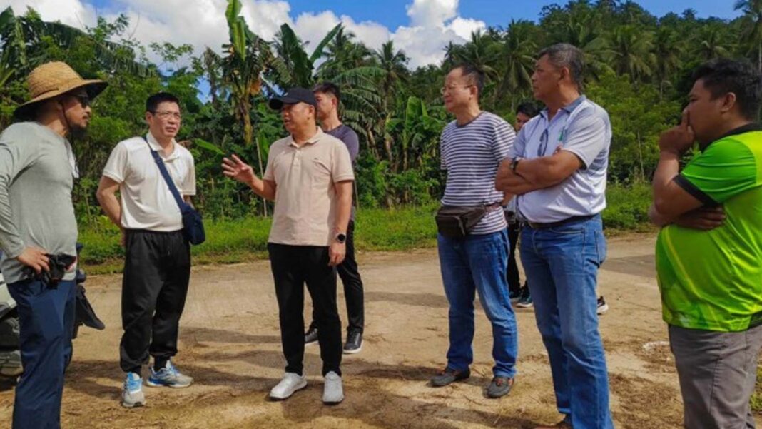 20241201 PAGEONE - Coco industrial park