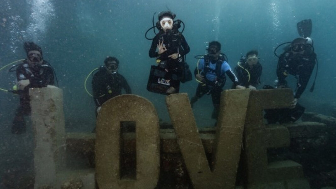 20241202 PAGEONE - Diver