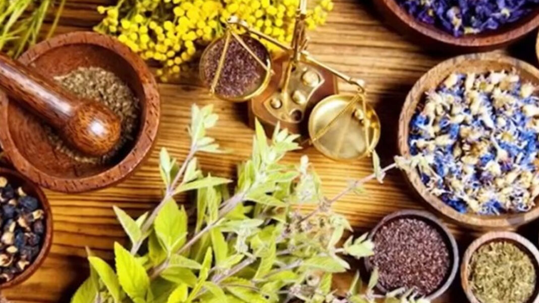 20250107 PAGEONE - Herbal medicine