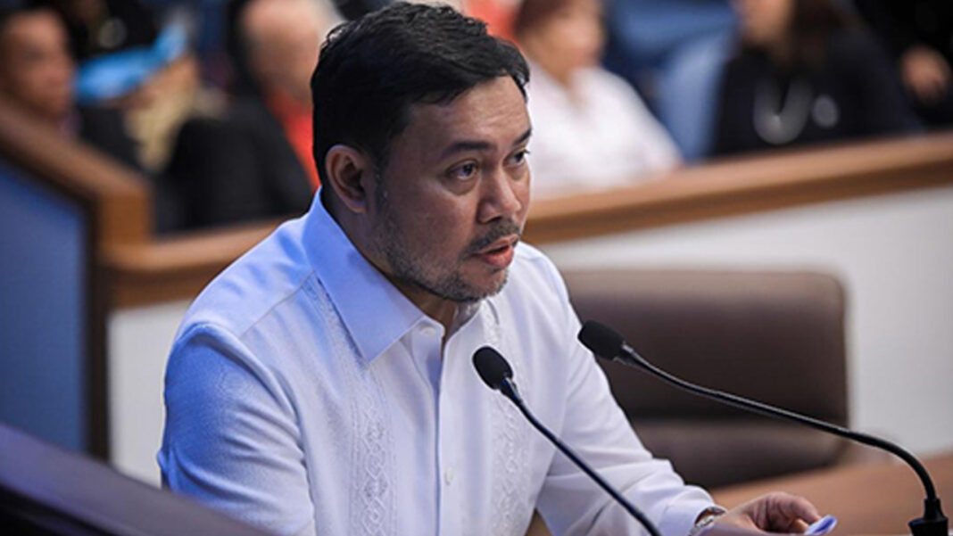 20250126 PAGEONE - Mark Villar