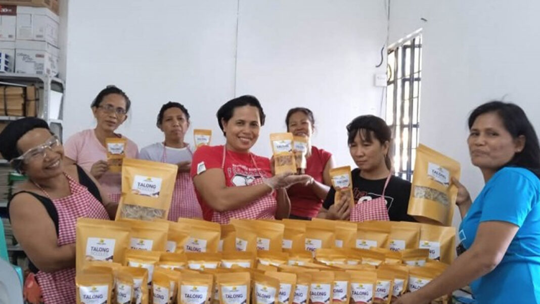 20250129 PAGEONE - Aringay Veggies