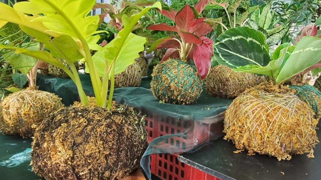 20250204 PAGEONE - Waste management