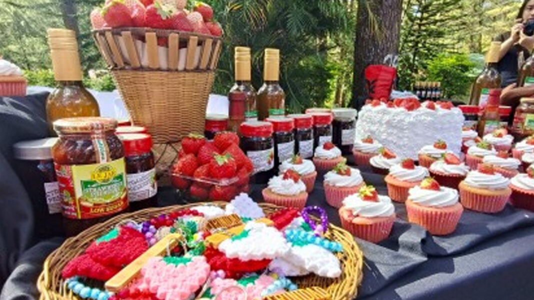 20250220 PAGEONE - Strawberry Festival