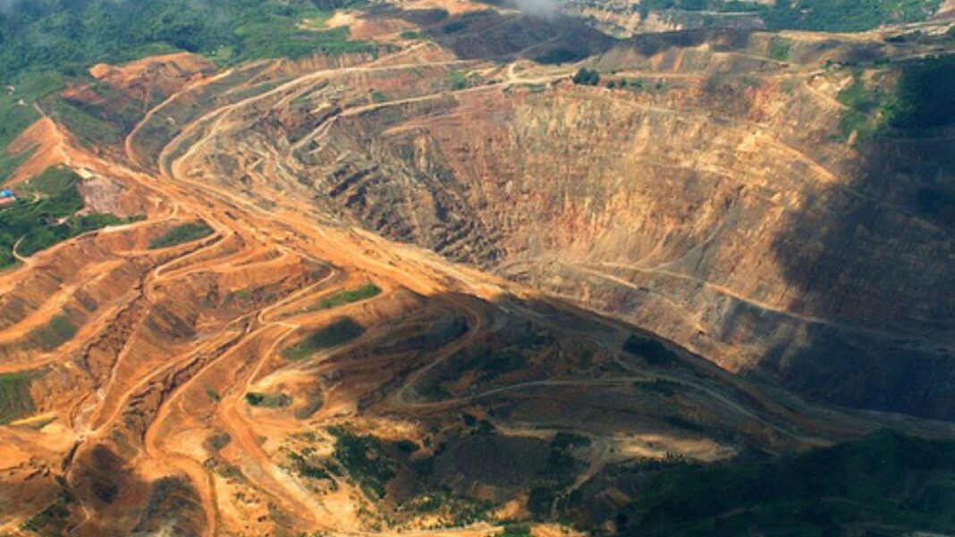 20250310 Palawan FI 1