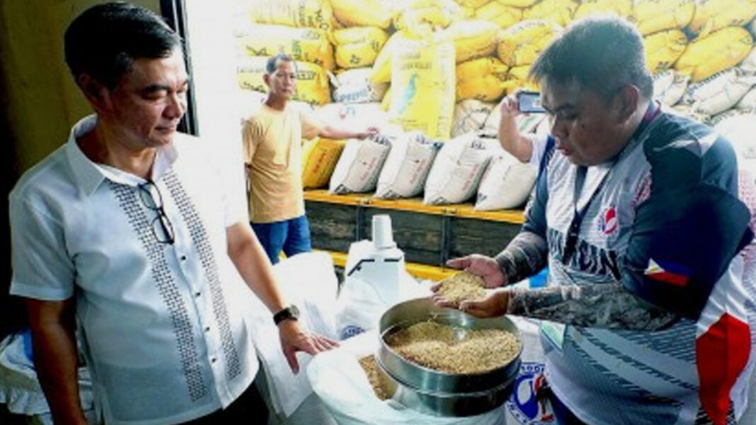 20250318 PAGEONE - Palay