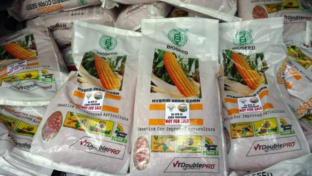 20250402 PAGEONE - Corn seeds