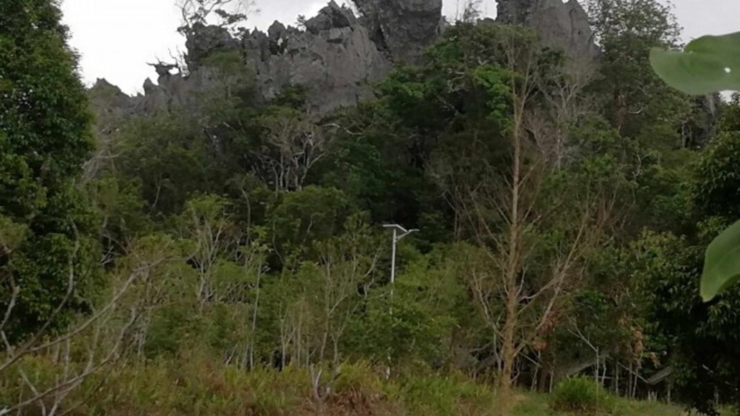 20250429 PAGEONE - Cave