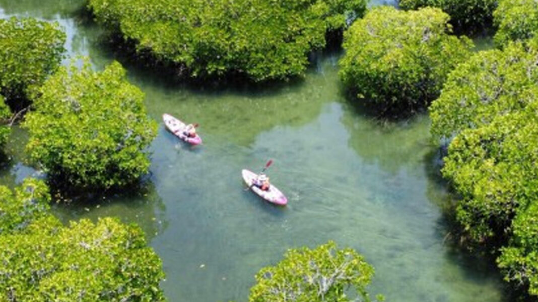 20250501 PAGEONE - Sagay City