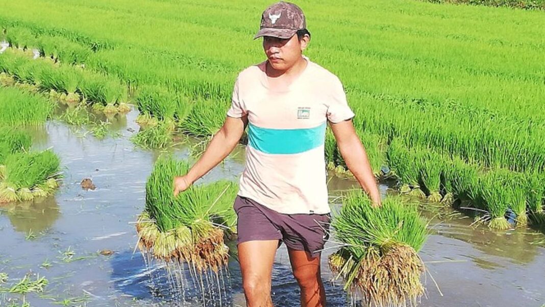 20250624 PAGEONE - Farmer