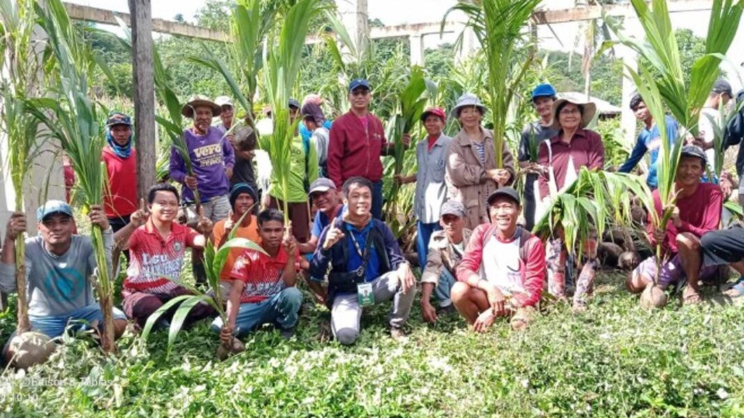 20250702 PAGEONE - Coconut