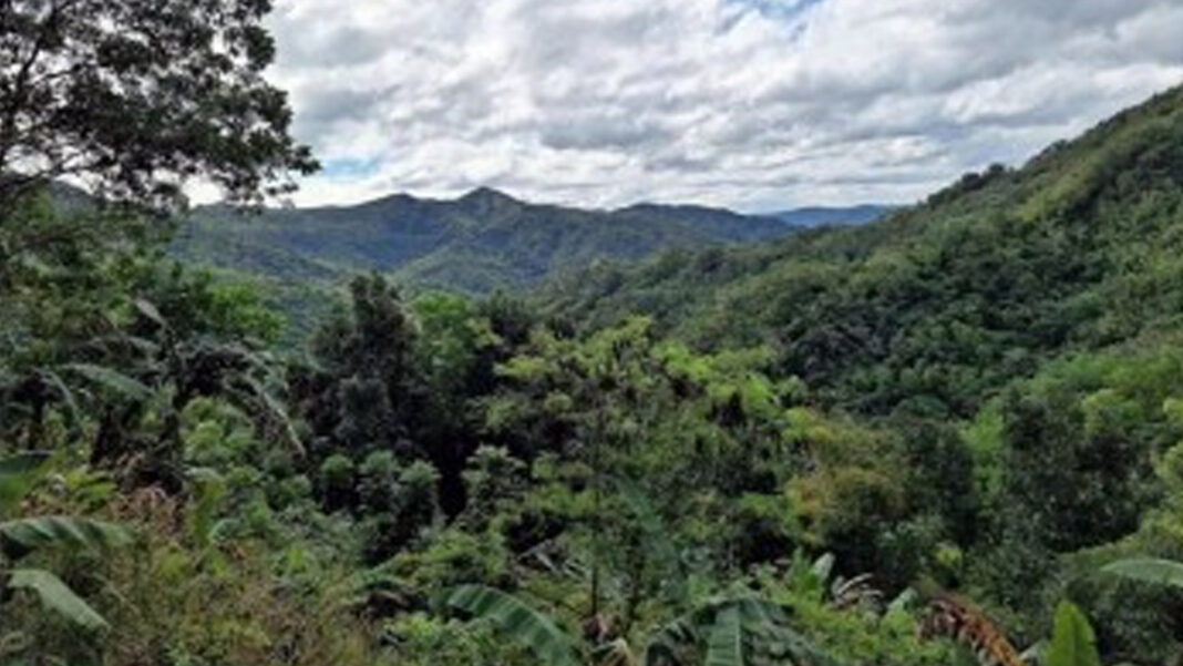 20250710 PAGEONE - Mountain