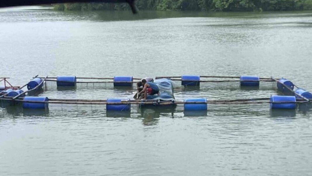 20250817 PAGEONE - Prawn cage