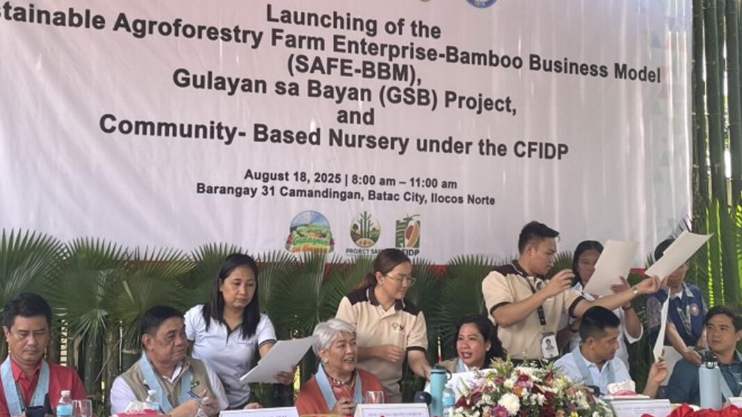 20250818 PAGEONE - Beema bamboo