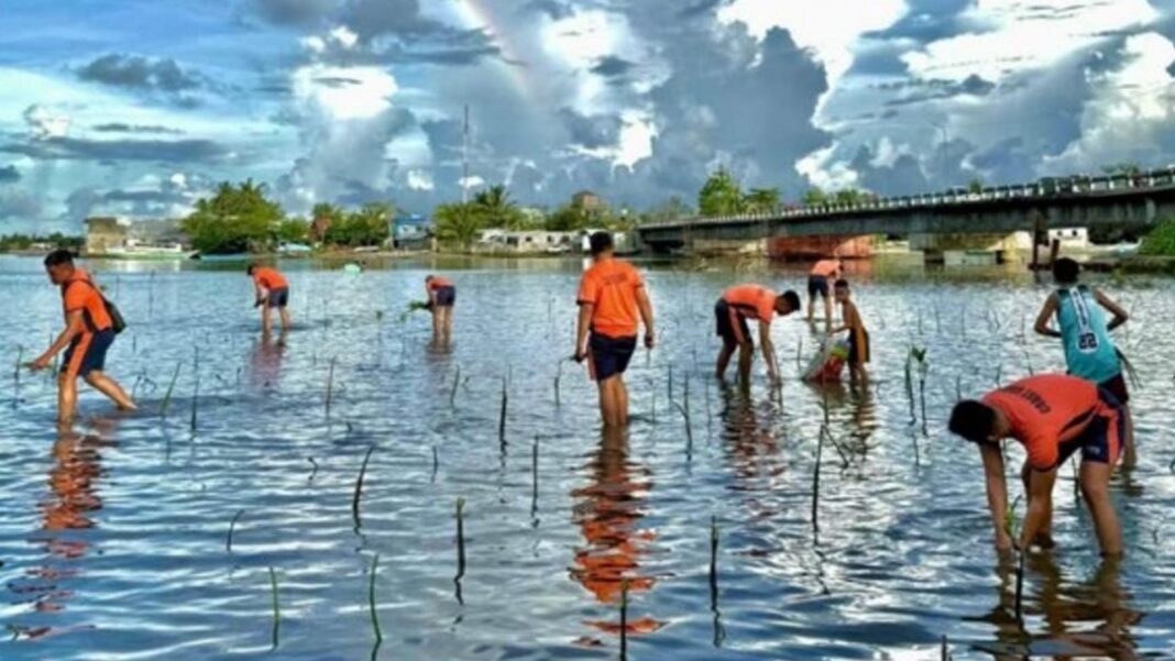 20250914 PAGEONE - Planting