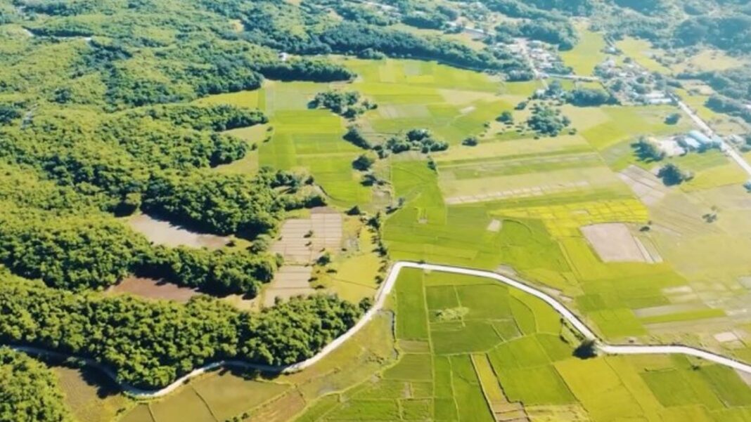 20250916 PAGEONE - Road