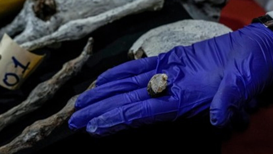 20250918 PAGEONE - Mummies