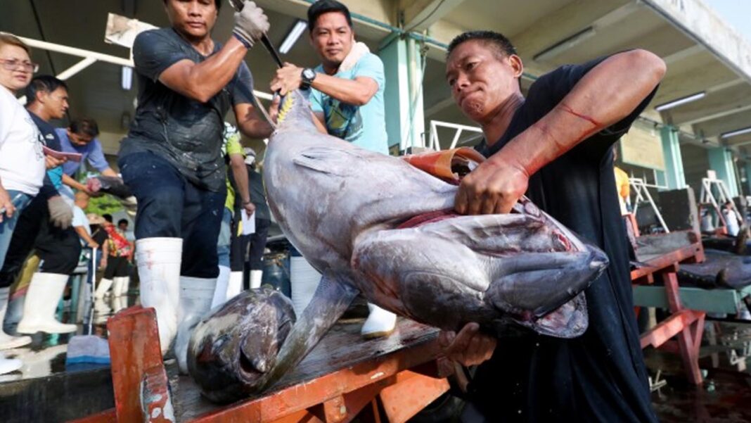 20250921 PAGEONE - Fish