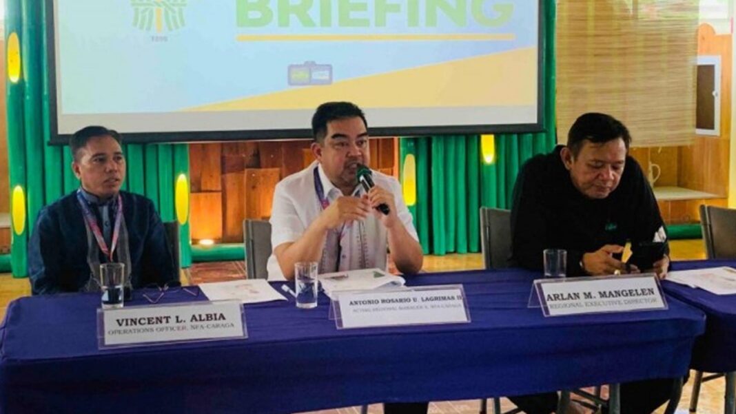 20250922 PAGEONE - DA-13