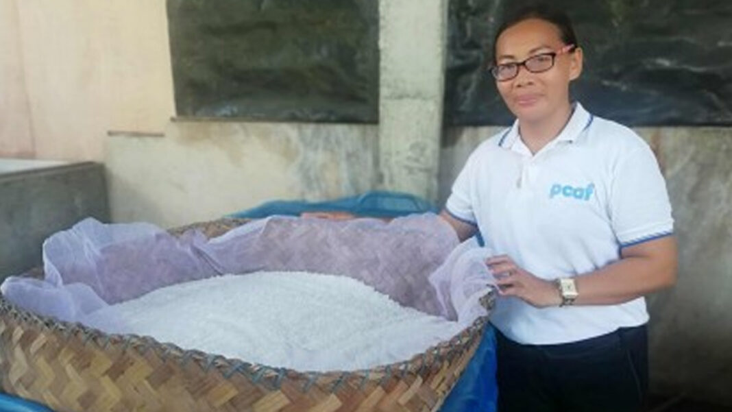 20251028 PAGEONE - Salt