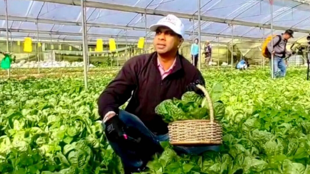 20251028 PAGEONE - Vegetable